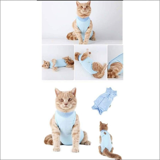 Pet Surgical Recovery Suit After Spay, Neuter or Injury Cat or Small Dog - Guiding Lights Boutique