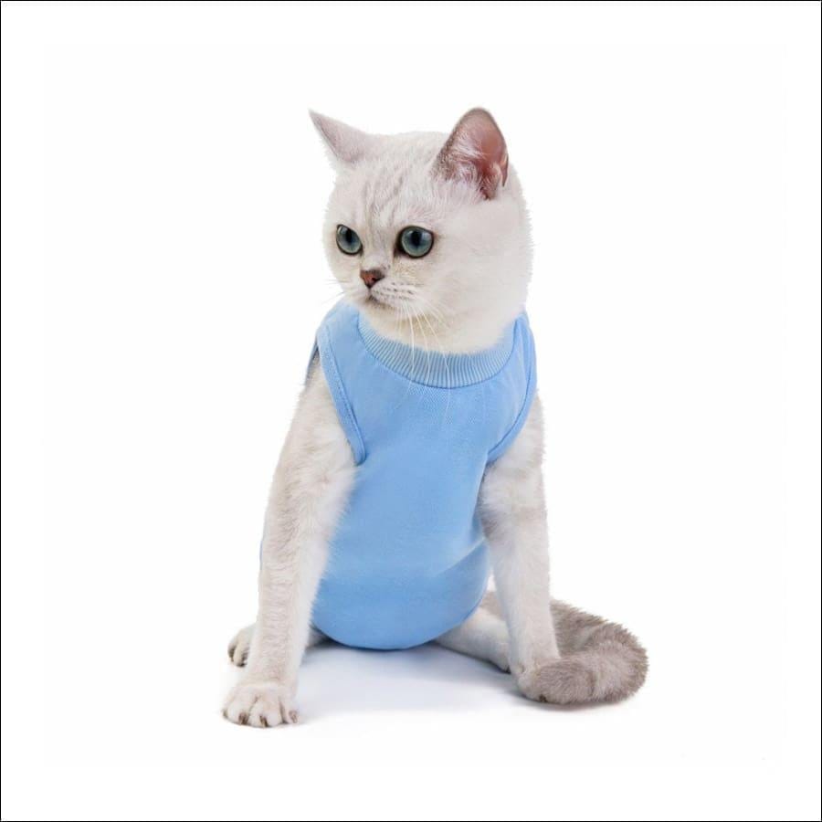 Pet Surgical Recovery Suit After Spay, Neuter or Injury Cat or Small Dog - Guiding Lights Boutique
