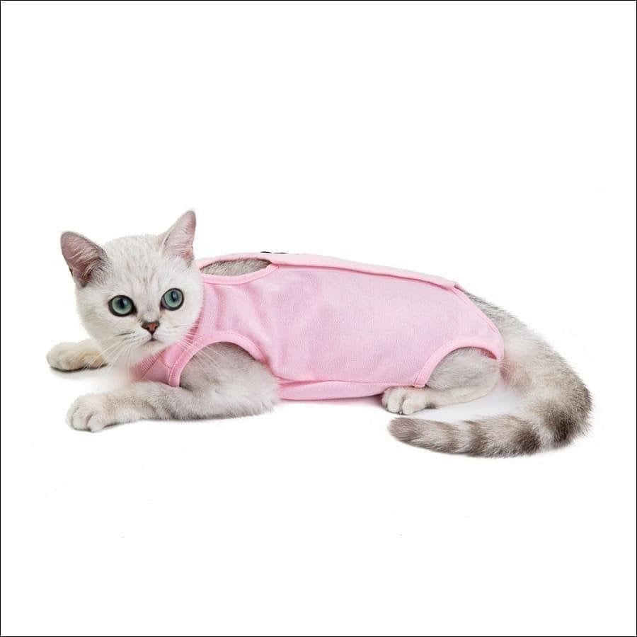 Pet Surgical Recovery Suit After Spay, Neuter or Injury Cat or Small Dog - Guiding Lights Boutique