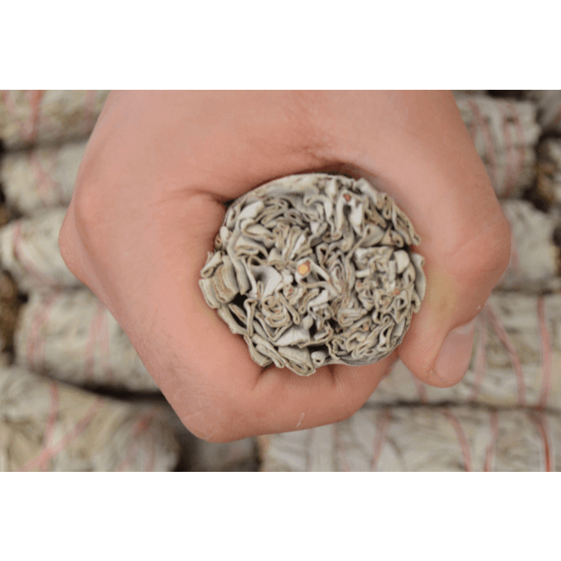 Premium Organic White Sage Smudge Stick 4 inch long thick for Energy Clearing California White Sage - Guiding Lights Boutique
