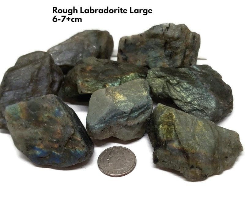  Rough Raw Flash Labradorite sizes from 1.75 to 3+inch with info card - Guiding Lights Boutique