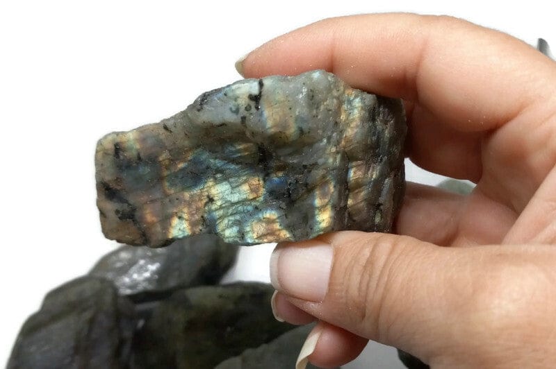  Rough Raw Flash Labradorite sizes from 1.75 to 3+inch with info card - Guiding Lights Boutique