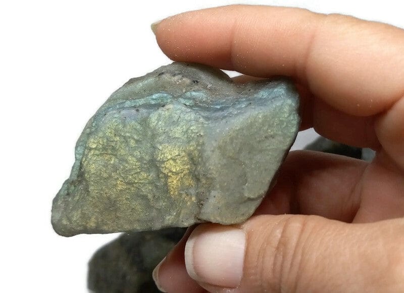  Rough Raw Flash Labradorite sizes from 1.75 to 3+inch with info card - Guiding Lights Boutique