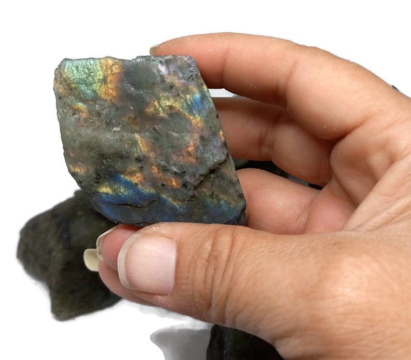  Rough Raw Flash Labradorite sizes from 1.75 to 3+inch with info card - Guiding Lights Boutique