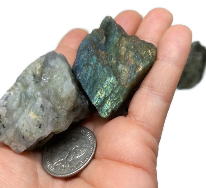  Rough Raw Flash Labradorite sizes from 1.75 to 3+inch with info card - Guiding Lights Boutique