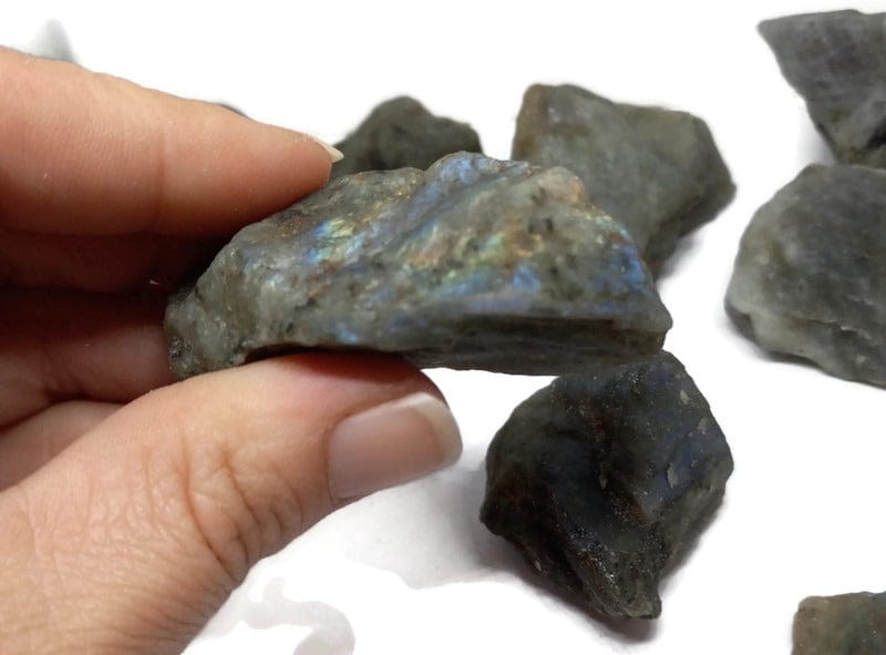  Rough Raw Flash Labradorite sizes from 1.75 to 3+inch with info card - Guiding Lights Boutique