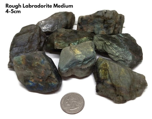  Rough Raw Flash Labradorite sizes from 1.75 to 3+inch with info card - Guiding Lights Boutique