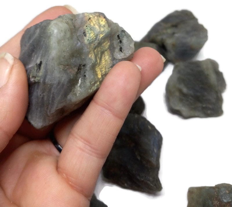  Rough Raw Flash Labradorite sizes from 1.75 to 3+inch with info card - Guiding Lights Boutique