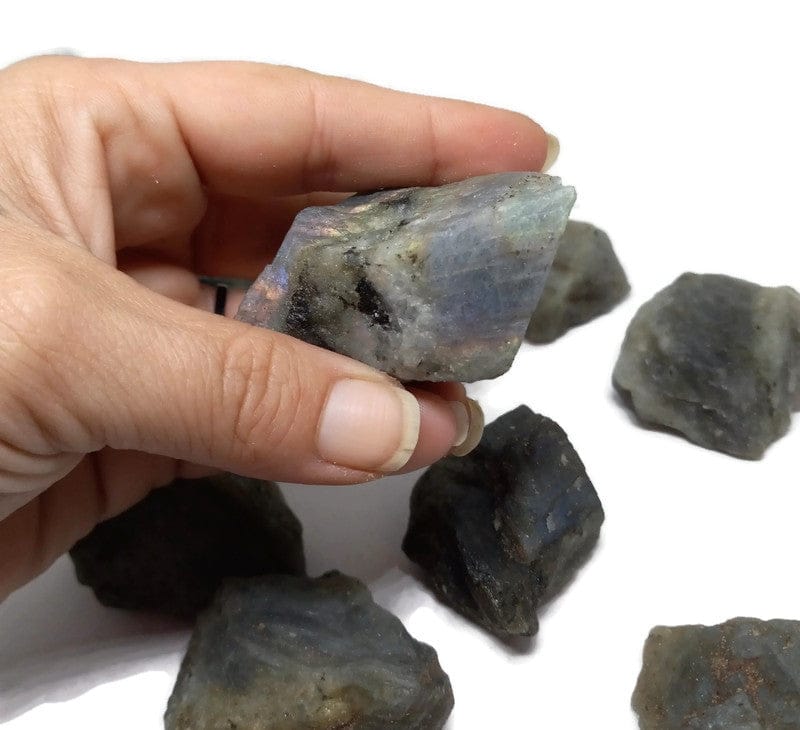  Rough Raw Flash Labradorite sizes from 1.75 to 3+inch with info card - Guiding Lights Boutique